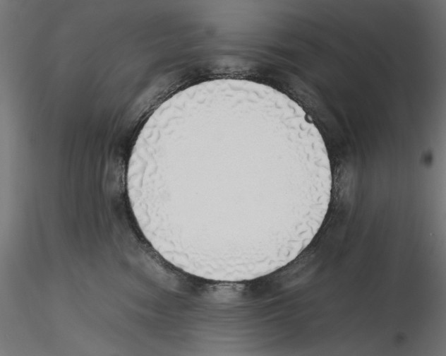 X0000116460474201001061042