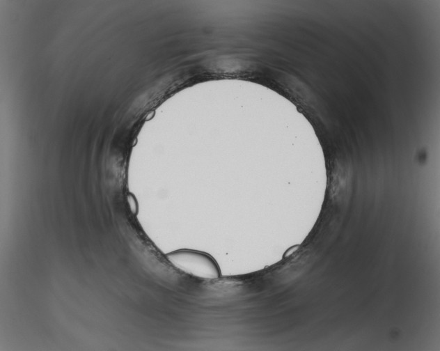 X0000116460476201001061042