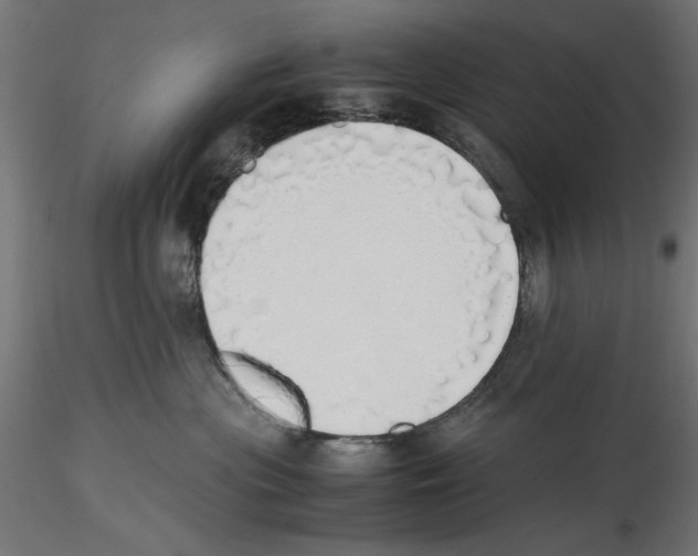 X0000116460477201001061042