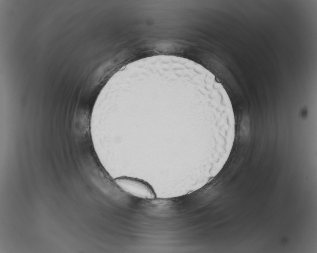 X0000116460478201001061042