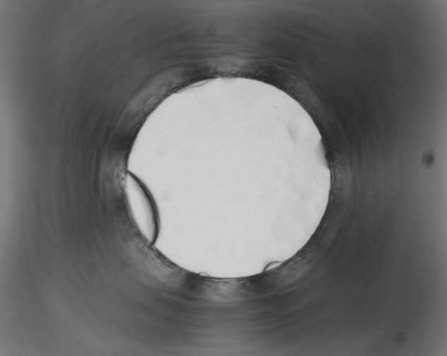 X0000116460479201001061042