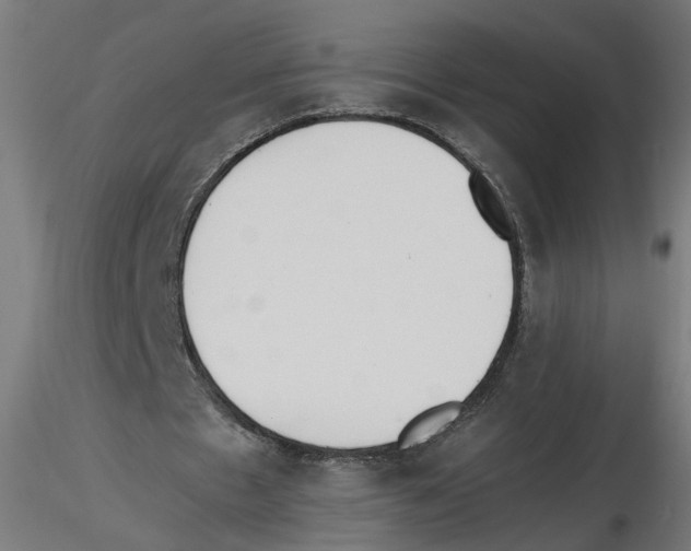 X0000116460481201001061041