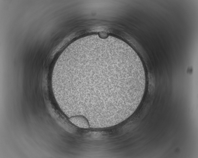 X0000116460482201001061041