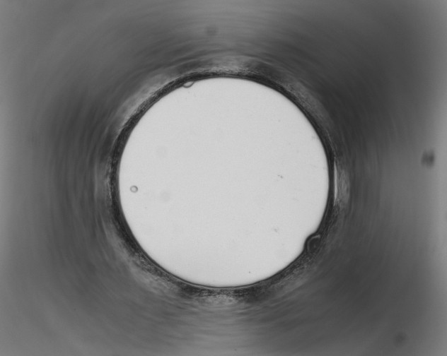 X0000116460483201001061041