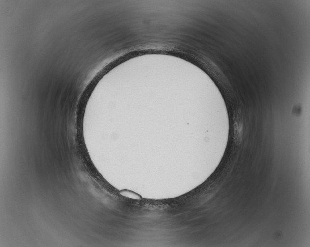 X0000116460484201001061041