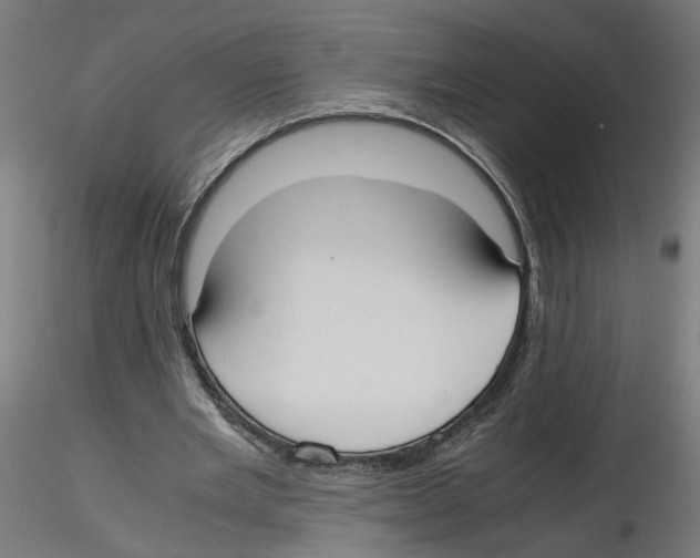 X0000116460485201001061041