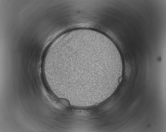 X0000116460486201001061041