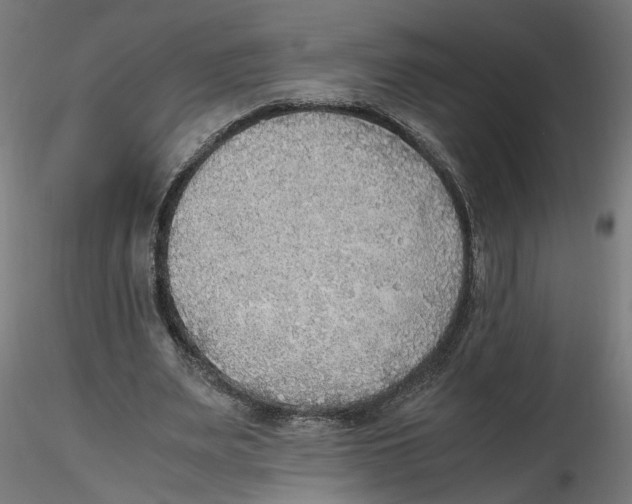 X0000116460487201001061041