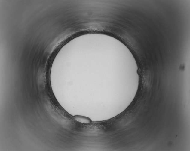 X0000116460488201001061041