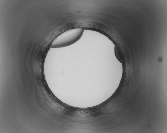 X0000116460489201001061041