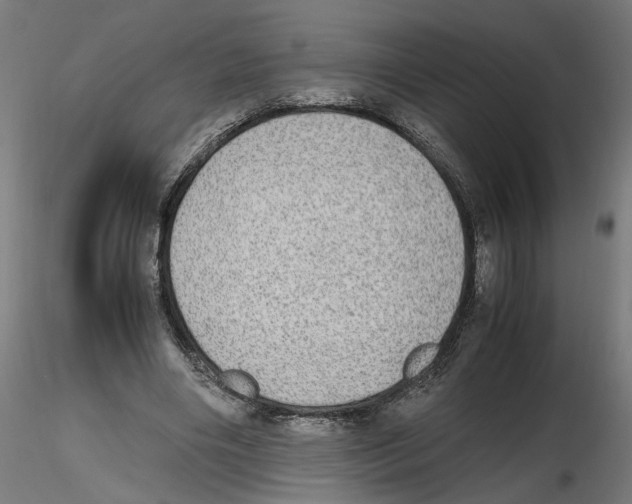 X0000116460490201001061041