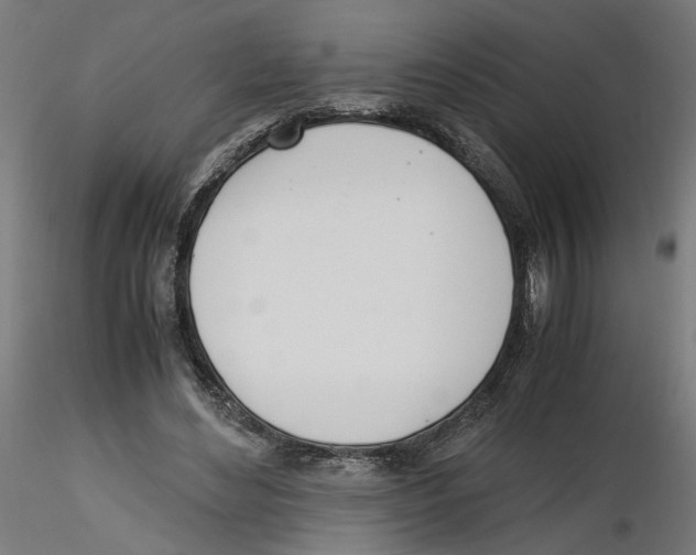 X0000116460492201001061041