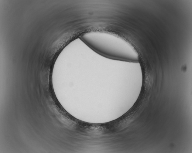 X0000116460493201001061041