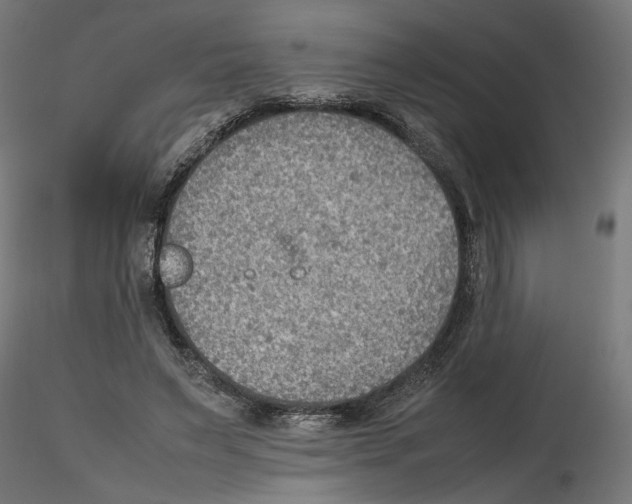 X0000116460495201001061041