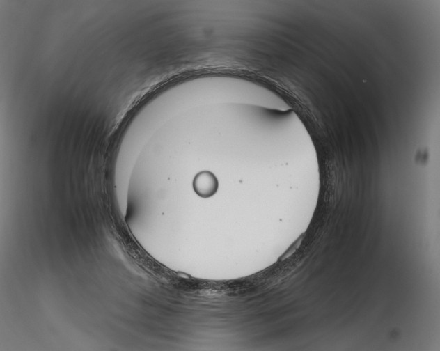 X0000116460496201001061041