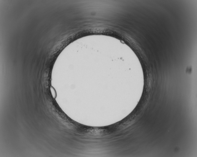 X0000116460497201001061041