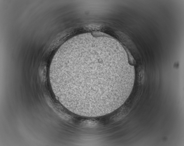 X0000116460498201001061041