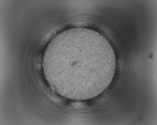 X0000116460499201001061041