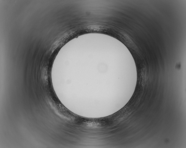 X0000116460500201001061041