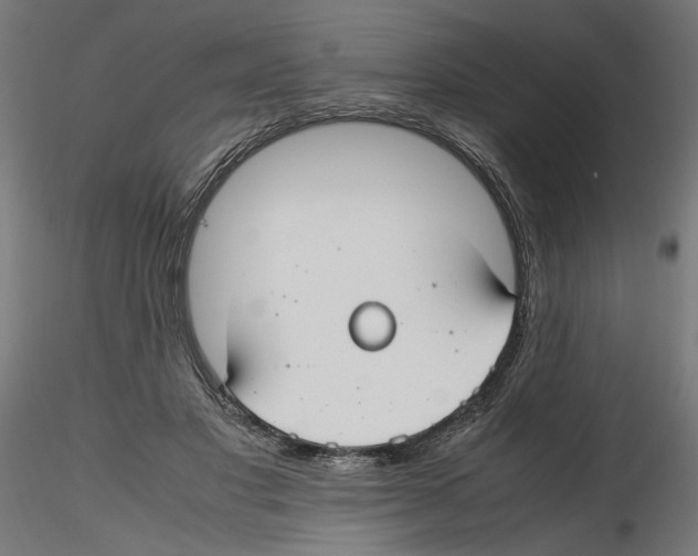 X0000116460501201001061041