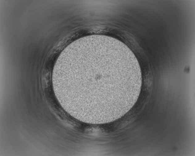 X0000116460503201001061041