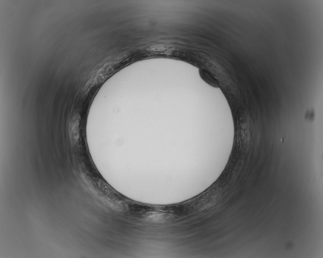 X0000116460504201001061041