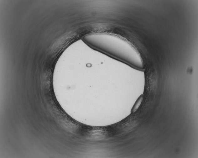 X0000116460505201001061041