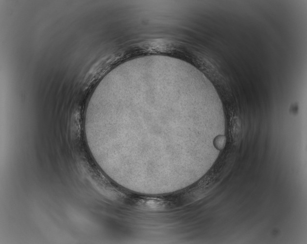 X0000116460506201001061041