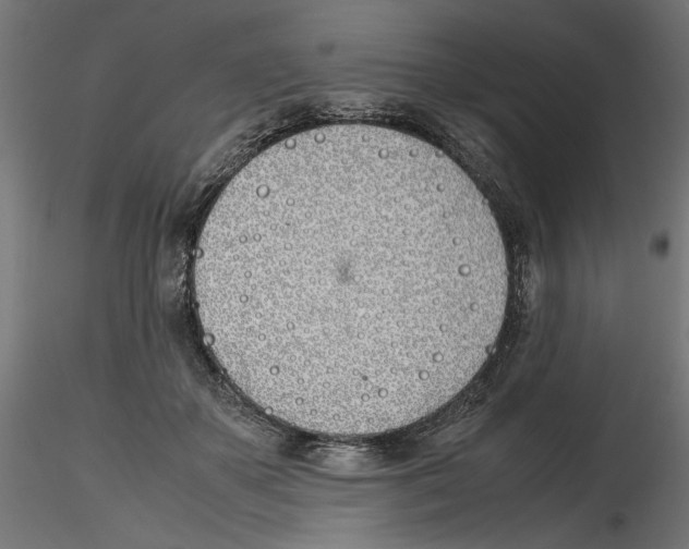 X0000116460507201001061041