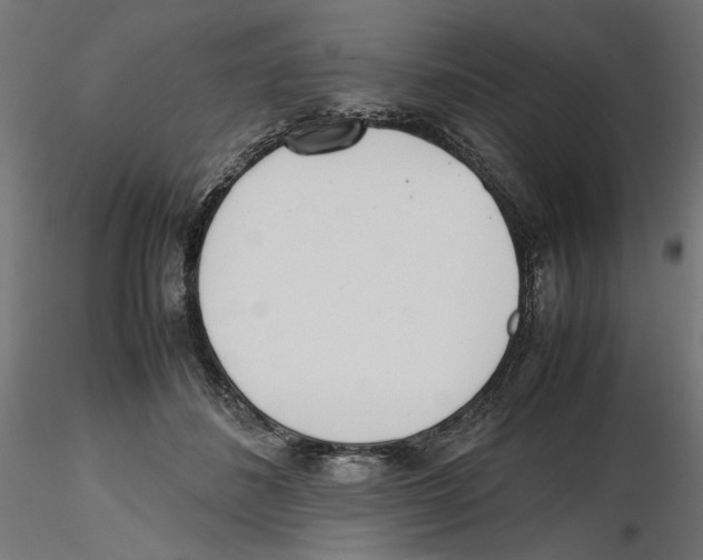 X0000116460508201001061041