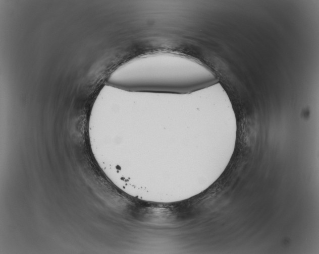 X0000116460509201001061041