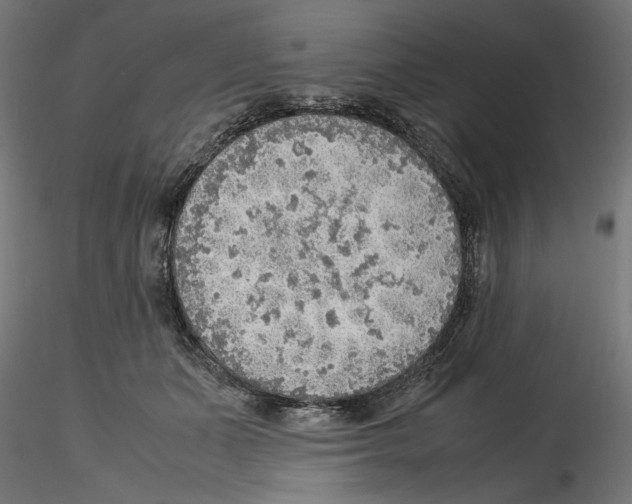 X0000116460511201001061041