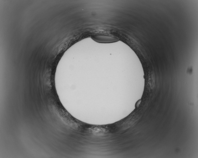 X0000116460512201001061041
