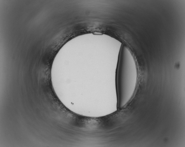 X0000116460513201001061041