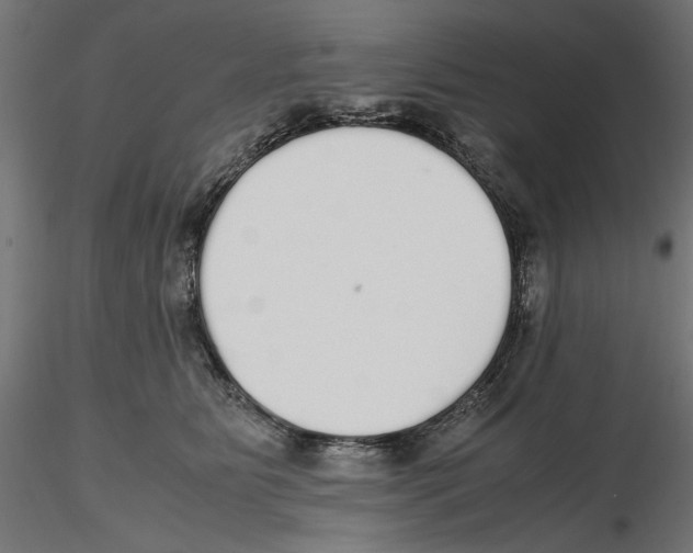 X0000116460515201001061041
