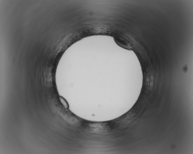 X0000116460516201001061041