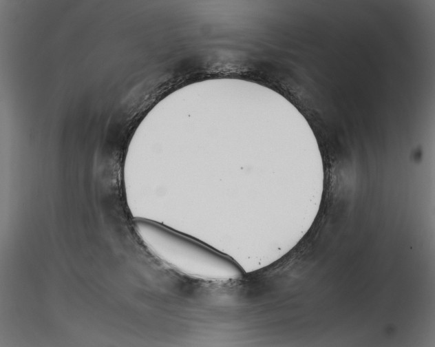 X0000116460517201001061041