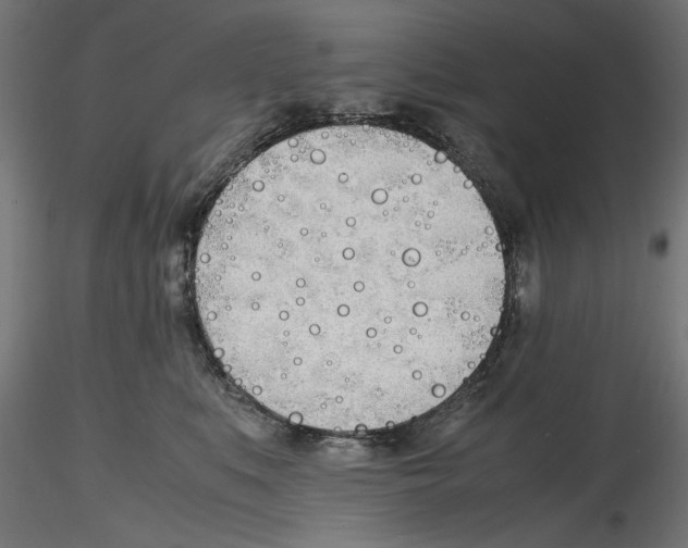 X0000116460519201001061041
