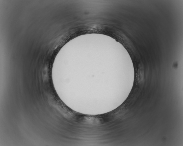 X0000116460520201001061041