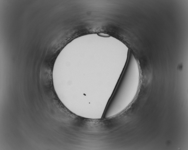X0000116460521201001061041