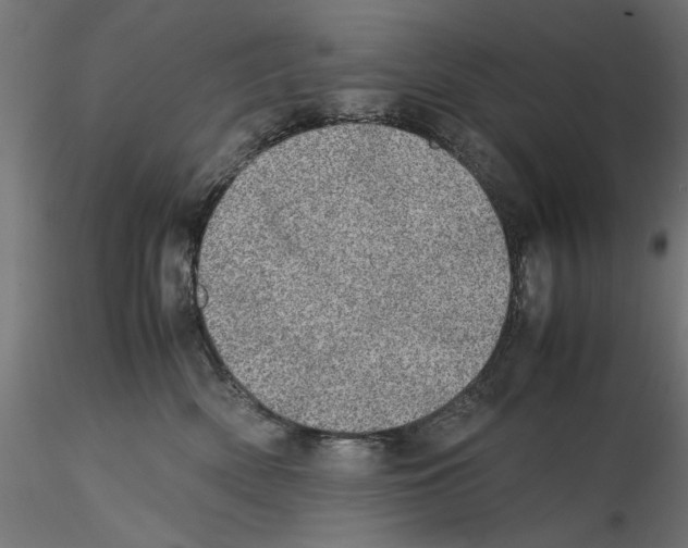 X0000116460522201001061041