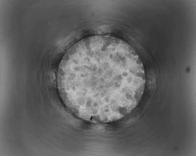 X0000116460523201001061041