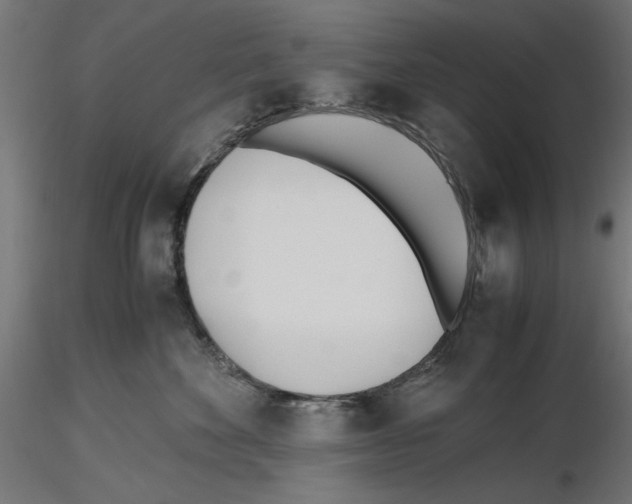 X0000116460524201001061041