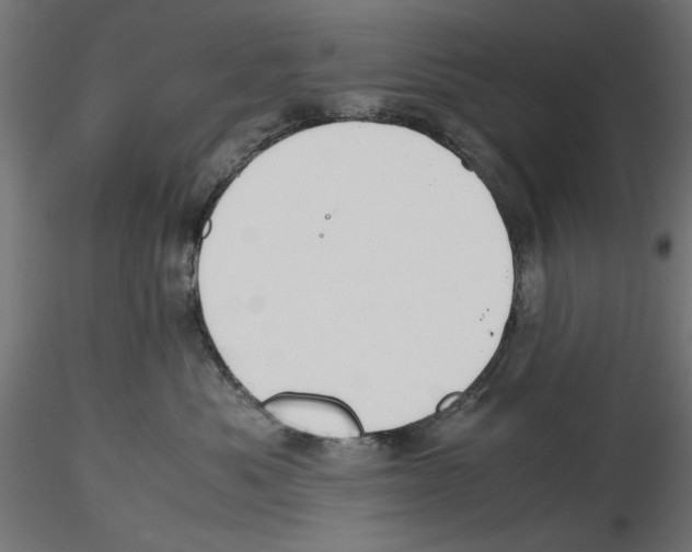 X0000116460525201001061041