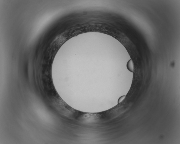X0000116460526201001061041