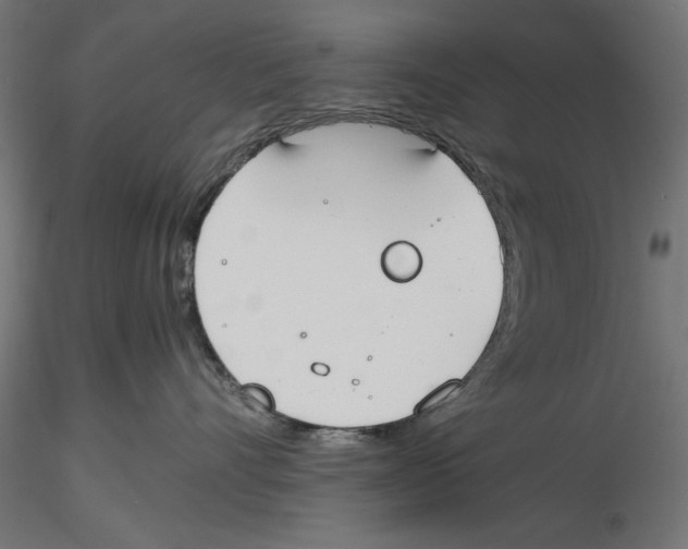 X0000116460528201001061041