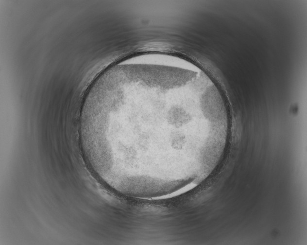 X0000116460529201001061040