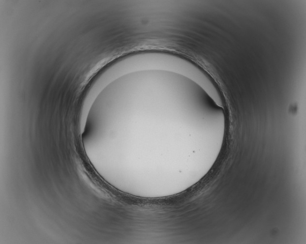 X0000116460530201001061040