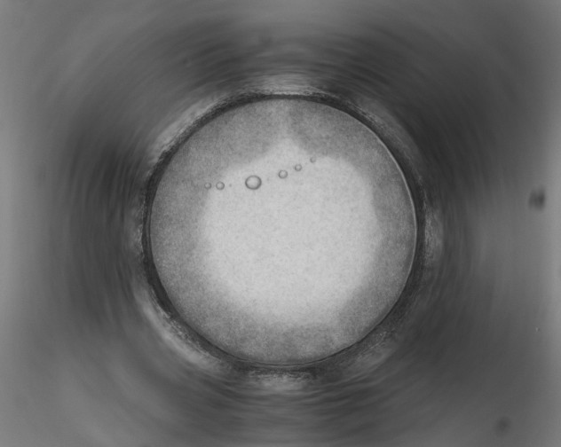 X0000116460533201001061040