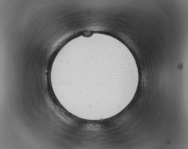 X0000116460535201001061040